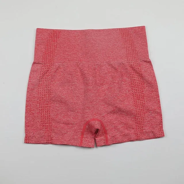 Women Shorts Fitness Yoga Shorts